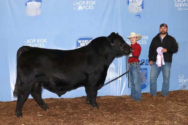 Show Heifer of the Year