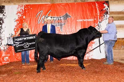 Show Bull of the Year