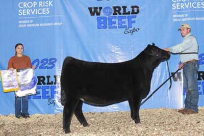 Show Heifer of the Year